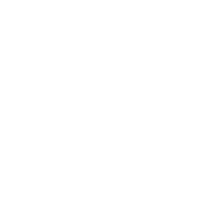 OLLECH & WAJS